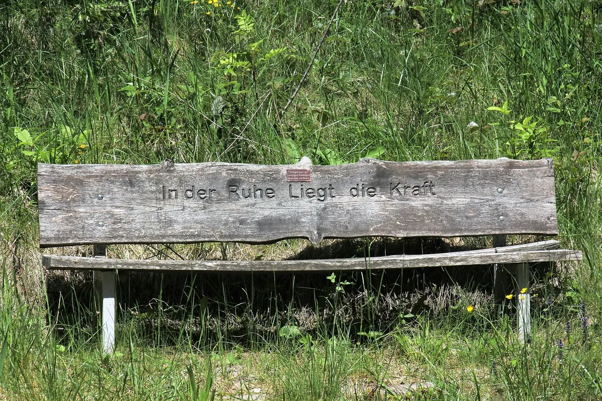 How to Clean and Restore a Weathered Wooden Garden Bench